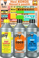 HESI Start box Coco (2) (2)