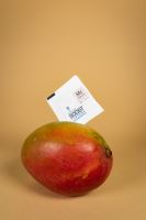 Integra Boost 62% 4g, myrcene, 1 ks