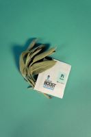 Integra Boost 62% 4g, pinene, 1 ks